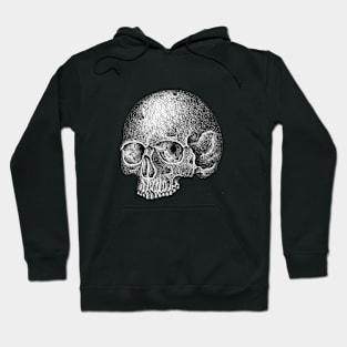 dark skull Hoodie